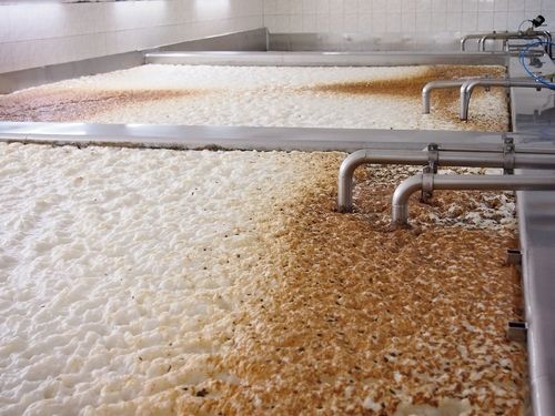 ビールの製造工程(3)発酵・貯酒工程