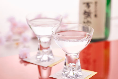 まずは「生酒」を知ろう!