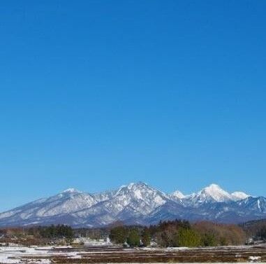 山梨の焼酎【武の井(たけのい):武の井酒造】八ヶ岳南麓の老舗蔵が手掛ける純米焼酎