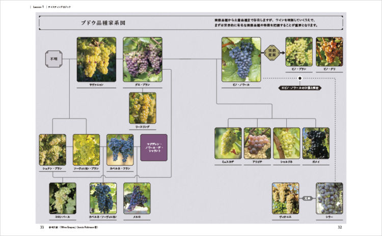 全59種のブドウを紹介した本格的ワインガイド