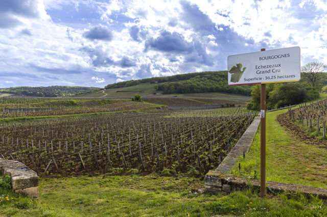 ワインのテロワールを表すイメージ