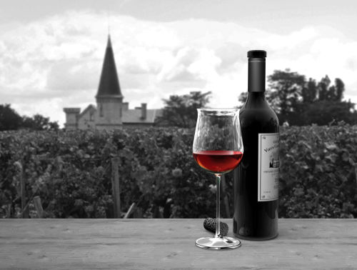 テロワールと高級ワインの関係