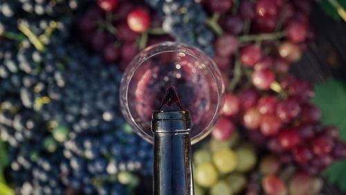 生ワインの選び方