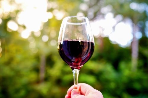 ホイリゲは今年できたワインの意