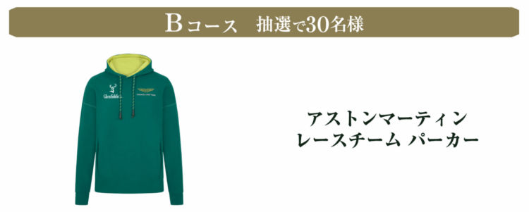 B賞：アストンマーティン レースチーム パーカー
