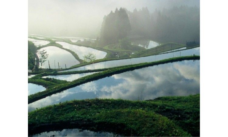 滋賀の日本酒【萩乃露(はぎのつゆ)】日本の原風景、里山の恵みを活かした酒造り