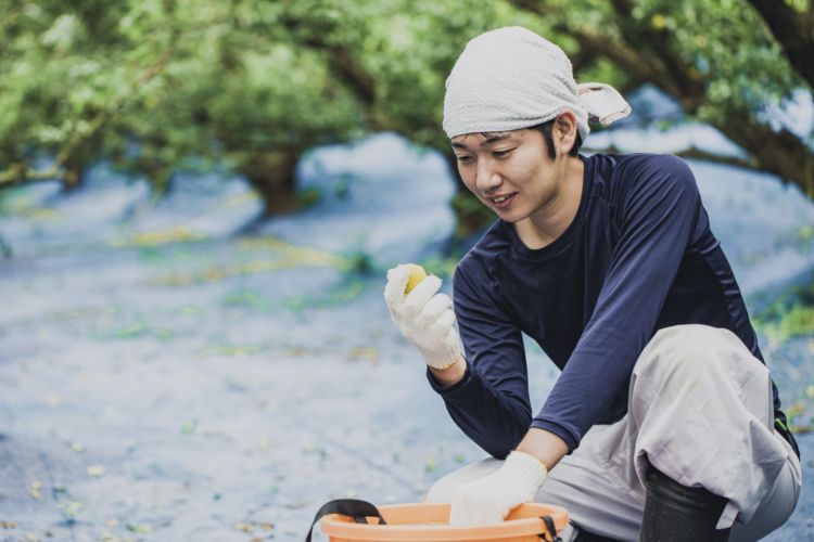 「SANABURI Prototype_04 梅リキュール with 梅ボーイズ」の商品概要