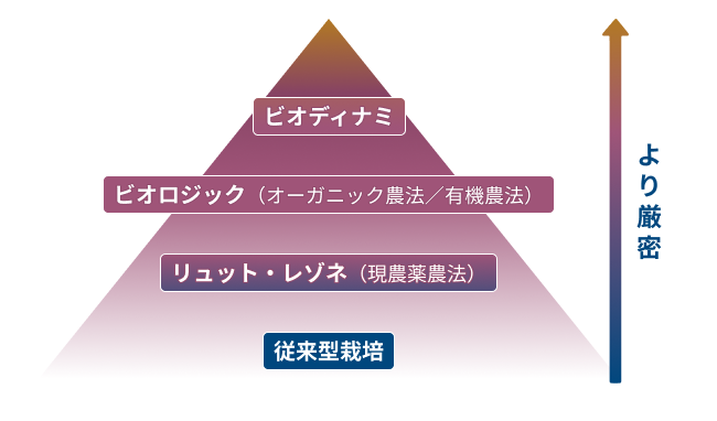自然派ワインの栽培方法