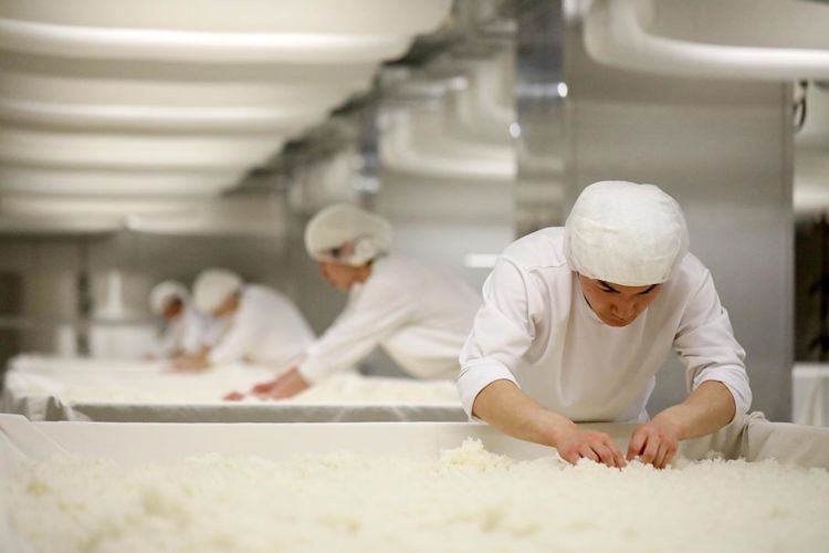 「獺祭」は人の手でていねいに造られるお酒