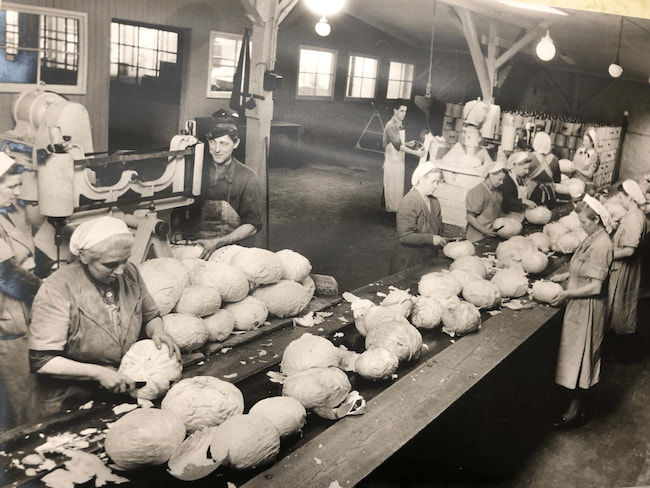 150年以上愛されるドイツの名門、ヘングステンベルグ