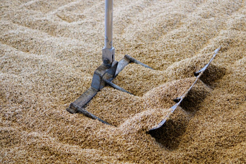 モルトの伝統製法フロアモルティング