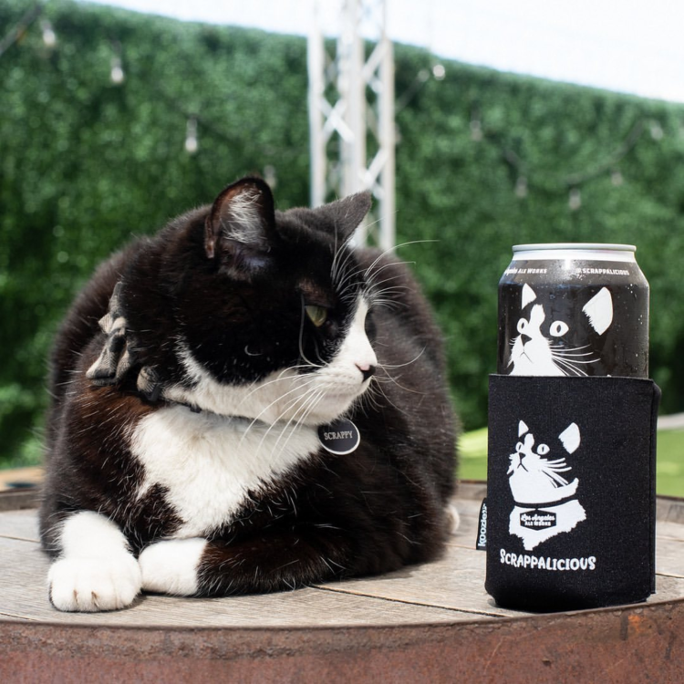 Los Angeles Ale Worksのハチワレ猫