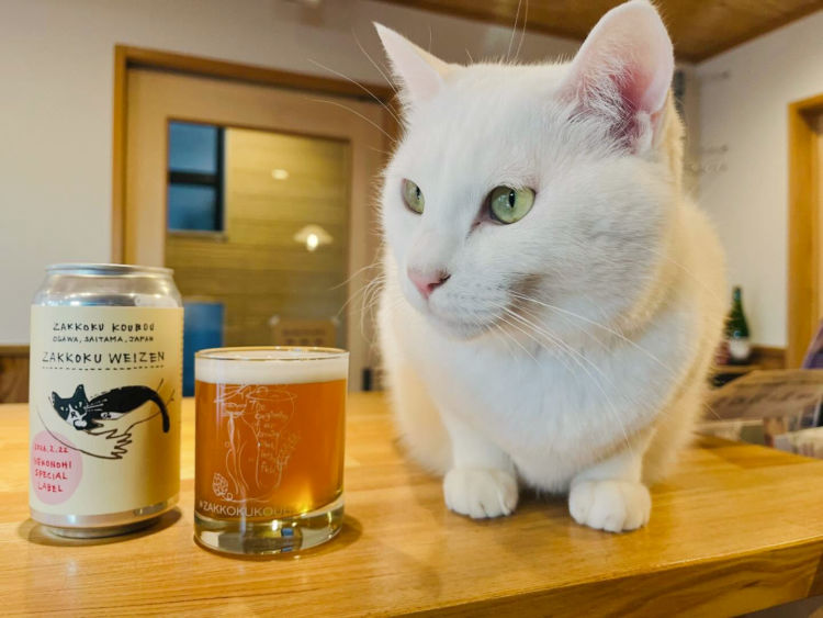 麦雑穀工房の看板猫ごまくん