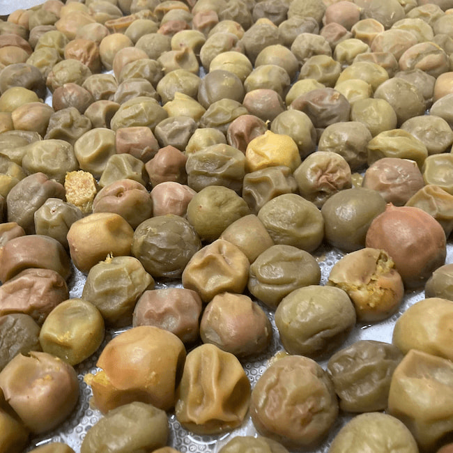 梅の実は蒸してから種を取り除き、ペースト状にして醪へ投入