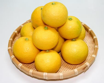 完熟かぼす