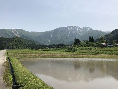 「八海山」は魚沼の豊かな自然を活かした酒