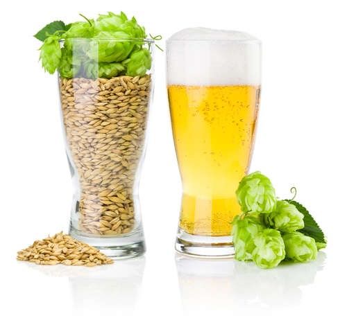 ホップの成分と、ホップがビールにもたらすもの