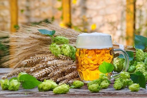 ホップを使ったビールの歴史